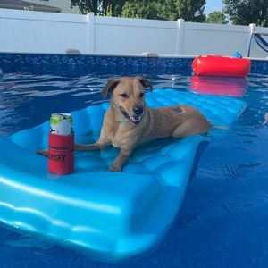 Meet your Posher, Tim